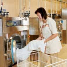 Пятновыводитель для белых и цветных тканей (1 порция для загрузки до 5кг) - site6.local - Алматы