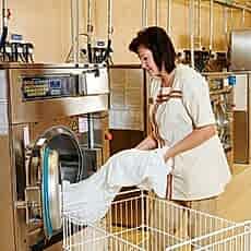 Смокинг, фрак - site6.local - Алматы